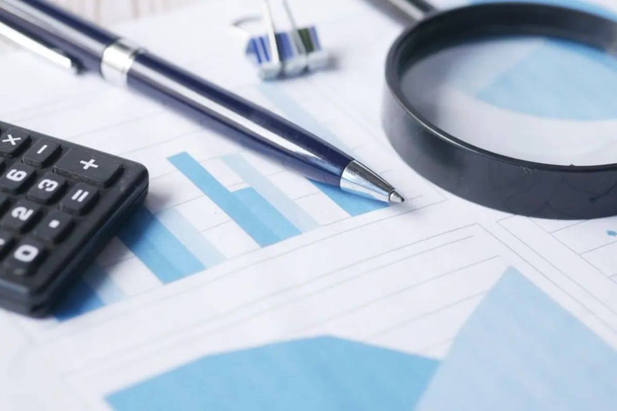 website audit